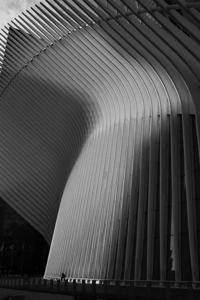 Steel Spine