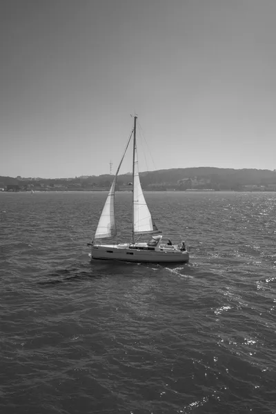 Open Water